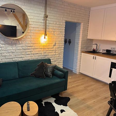 Apartament Small Czarny Potok Криниця-Здруй Екстер'єр фото